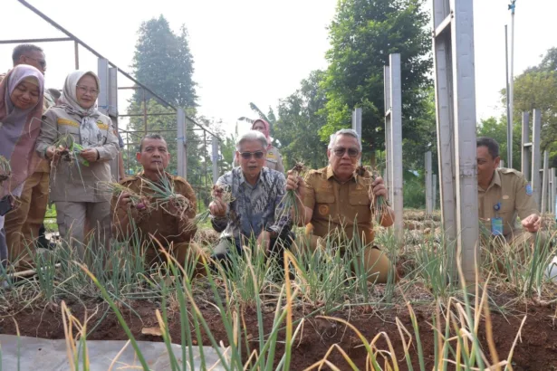 Wali Kota Tangsel Benyamin Davnie